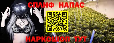 МДПВ Новодвинск