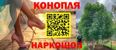 МДПВ Новодвинск