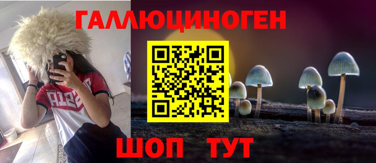 Псилоцибиновые грибы Psilocybine cubensis Туапсе