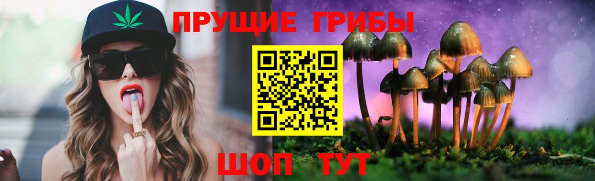 Туапсе  Псилоцибиновые грибы Psilocybe  Вход с VPN 